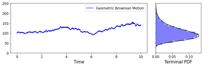 An example of Geometric Brownian motion (left) with the terminal log-normal probability distribution of the process (right).